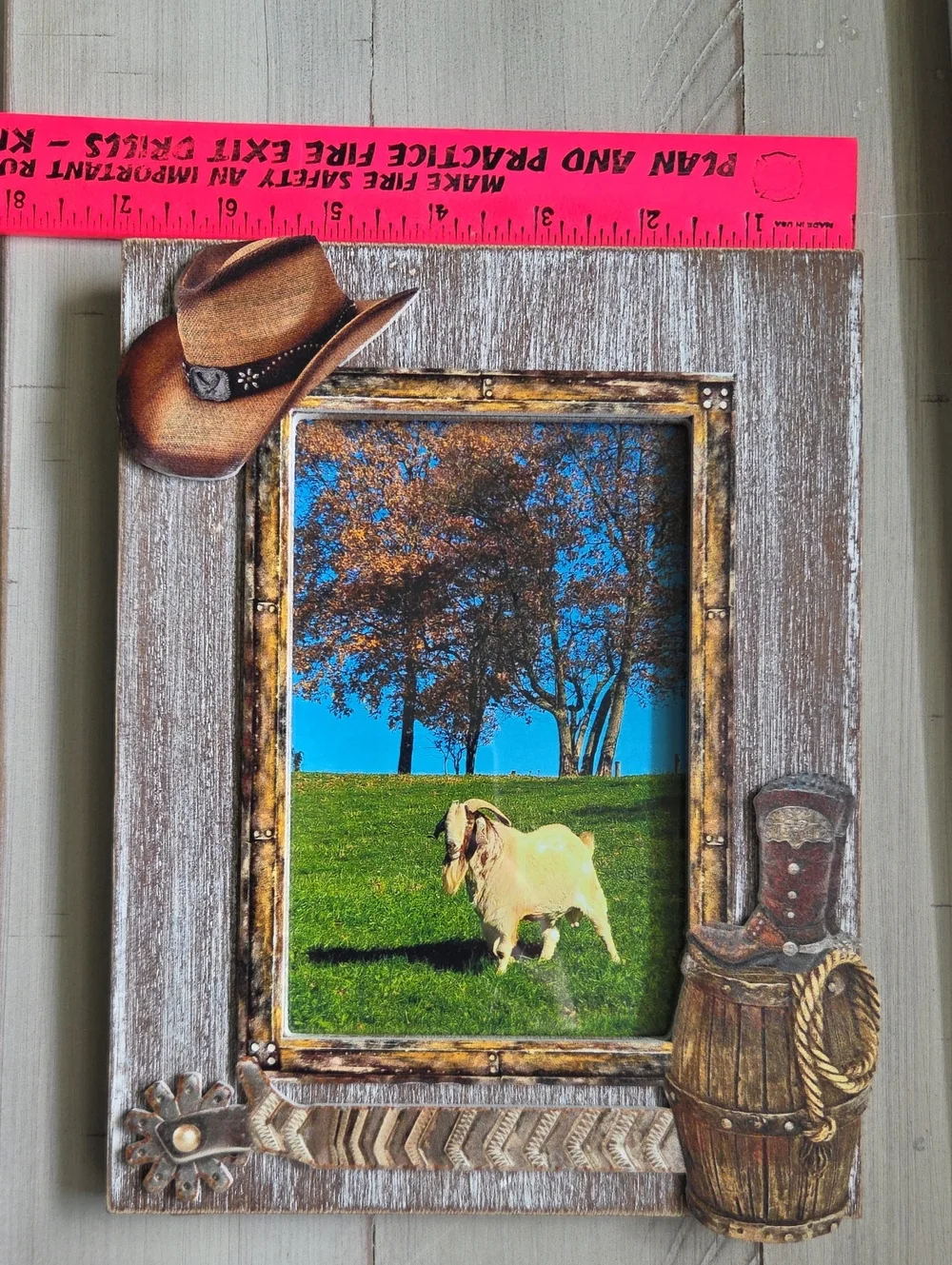 Rustic Western Picture Frame Wall Art